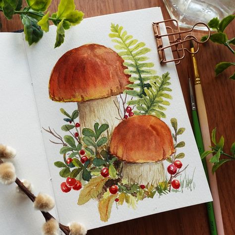 Autumn Sketchbook Ideas, Mushroom Cottagecore Art, Fall Art Watercolor, Autumn Watercolor Art, Mushroom Art Painting, Mushroom Illustration Cute, Botanical Art Watercolors, Mushroom Watercolor Paintings, Fall Watercolor Ideas