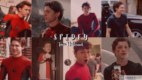 Peter Benjamin Parker, Tom holland, Spiderman. Tom Holland Desktop Wallpaper, Tom Holland Laptop Wallpaper, Spiderman Wallpaper Pc, Aesthetic Tom Holland, Tom Holland Spider Man, Spider Man Wallpaper, Background Laptop, Tom Peters, Andrew Garfield Spiderman