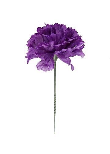 Purple Carnations, Wedding Flower Guide, Fresh Wedding Flowers, Bright Wedding Flowers, Simple Wedding Flowers, Flower Picks, Unique Wedding Flowers, Flower Guide, Purple Wedding Flowers