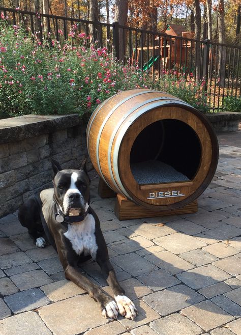 Barrel Dog House, Barrel Dog Bed, Dog House Plans, Cool Dog Houses, Dog House Diy, Cozy Dog Bed, Cozy Dog, Animal Projects, Whiskey Barrel