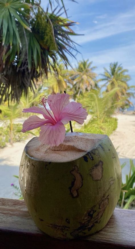 Cambodia Aesthetic Photography, Coconut Asthetic Picture, Pink Vacation Aesthetic, Coconut Photoshoot, Coconut Beach Aesthetic, Tropical Aesthetic Summer Vibes, Tropical Core Aesthetic, Belize Aesthetic, Tropical Summer Aesthetic