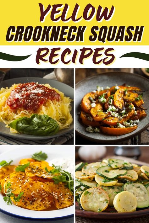 Yellow Bumpy Crookneck Squash Recipes, Unique Squash Recipes, Crook Neck Squash Recipes Healthy, Yellow Crook Neck Squash Recipes, Yellow Crooked Neck Squash Recipes, Crook Neck Squash Recipe, Oven Fried Squash Recipes, Crookneck Squash Recipes Casseroles, Yellow Neck Squash Recipes