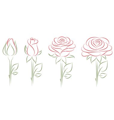 Blooming roses vector Hur Man Ritar Blommor, How To Draw Flowers, Roses Vector, Arte Doodle, Draw Flowers, Drawing Lesson, Rose Drawing, Roses Drawing, Vector Flowers