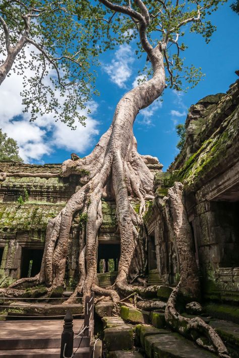 Traveling Cambodia soon? Here is the ultimate Cambodia Bucketlist for those planning to visit the country. From Siem Reap to Phnom Penh and all the lesser known hidden gems, this guide will inspire you to really explore the Cambodian Country. Angkor Wat Cambodia | Siem Reap Cambodia | Phnom Penh Cambodia | Traveling Cambodia Cambodia Siem Reap, Cambodia Phnom Penh, Cambodia Beaches, 3 Aesthetic, Travel Tricks, Angkor Wat Cambodia, Phnom Penh Cambodia, Cambodia Travel, Backpacking Asia