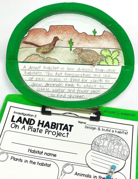 Habitats Activities, Teaching Habitats, Biomes Activities, Plants Life Cycle Activities, Ecosystem Activities, Habitat Project, Butterfly Life Cycle Activity, Habitat Activities, Teaching 2nd Grade