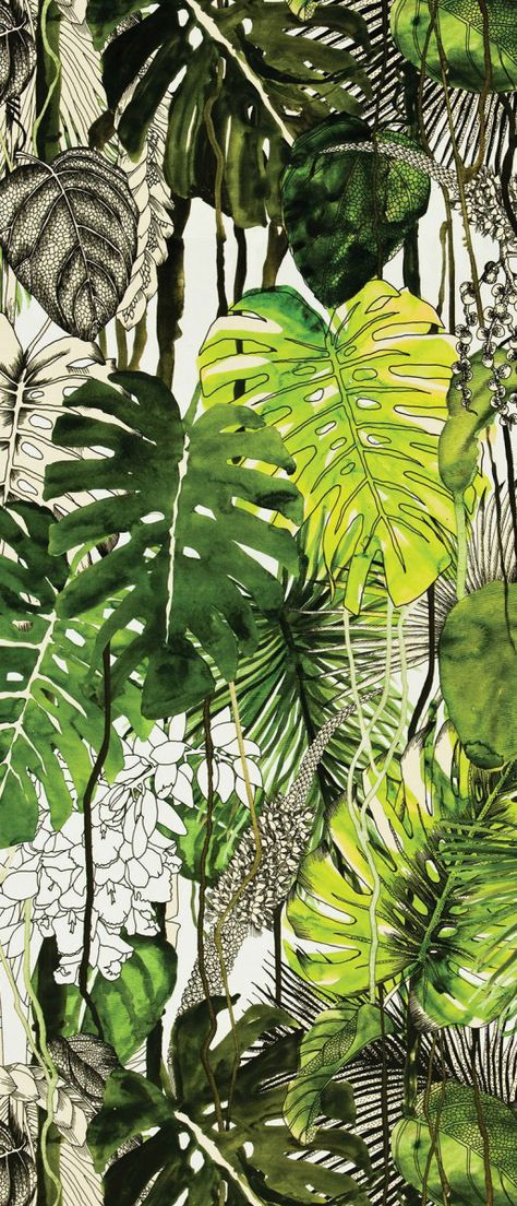 Ideia de misturar desenho, traço, rascunho com preenchimento e pintura Christian Lacroix fabric Monstera Art Tropical, Plant Painting, Monstera Deliciosa, Tropical Art, Christian Lacroix, Tropical Plants, Palm Leaves, Botanical Illustration, Botanical Art