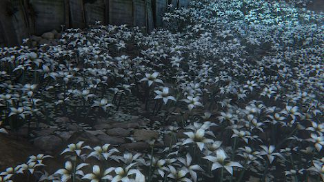 Flowers in Hunter's Dream | Bloodborne Wiki Bloodborne Characters, Post Apocalyptic City, Garden Of Gethsemane, Flannel Flower, Old Blood, Crocus Flower, Star Of Bethlehem, Jesus Resurrection, Story Of The World