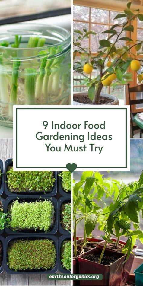 Turn your living space into a bountiful indoor farm with these 9 must-try gardening ideas! Learn how to grow leafy greens, flavorful herbs, and even strawberries inside your home. Perfect for plant lovers and food enthusiasts, these setups are both practical and beautiful. #IndoorGardens #HomeGrown #SustainableLiving Herbs Indoors Ideas, How To Grow Herbs Indoors, Food Garden Ideas, Indoor Food Garden, Kitchen Garden Indoor, Tomato Container Gardening, Indoor Farm, Indoor Garden Rooms, Growing Tomatoes Indoors