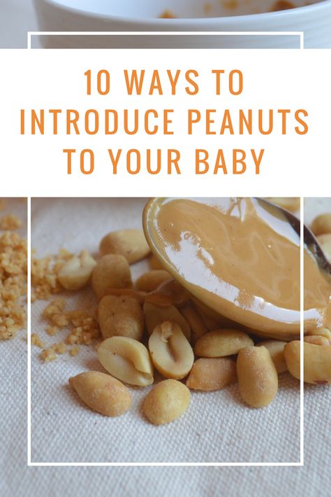 How to safely introduce peanuts to your 6 month old #babyledweaning #babyledfeeding #peanutallergy #preventpeanutallergies Peanut Snacks, Peanut Butter Baby, Wolf Pups, Baby Led Feeding, Infant Care, Baby First Foods, Peanut Allergy, Food Wishes, Registered Dietitian Nutritionist