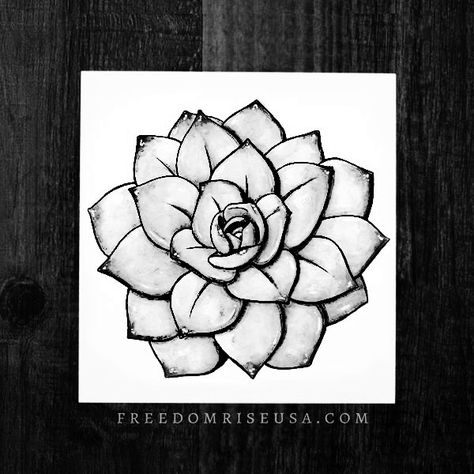 Tat Sketches, Succulent Drawings, Succulent Art Drawing, Succulent Art, A Drawing, Copic, Pencil Art, Drawing Techniques, Mandala Art