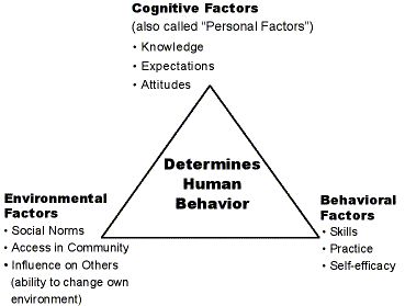 Source: Wikipedia.com Social Cognitive Theory, used in psychology, education, and communication, posits that portions of an individual's knowledge acquisition can be directly related to observing o.. Cognitive Theory, Dissertation Motivation, Social Cognitive Theory, Social Learning Theory, Child Development Theories, Protective Behaviours, Communication Theory, Learned Behaviors, Organizational Behavior