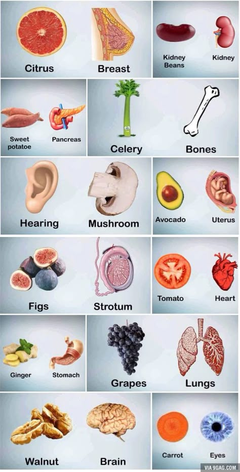 Human Body Organs, Food Health Benefits, Food Shapes, Home Health Remedies, Lifting Weights, Herbs For Health, Body Organs, Health Knowledge, Healing Food