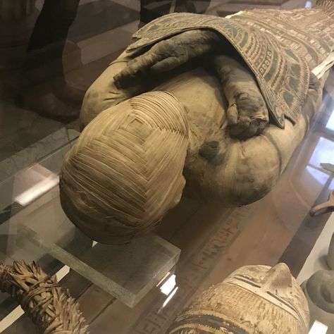 Egyptian Mummy in The Louvre, Paris   #egypt #mummy Egyptian Mummy Aesthetic, Mummy Aesthetic, Dmc Oc, Mother Issues, Wet Nurse, Egyptian Mummy, Egypt Mummy, Happy Birthday Mummy, Historical Illustration