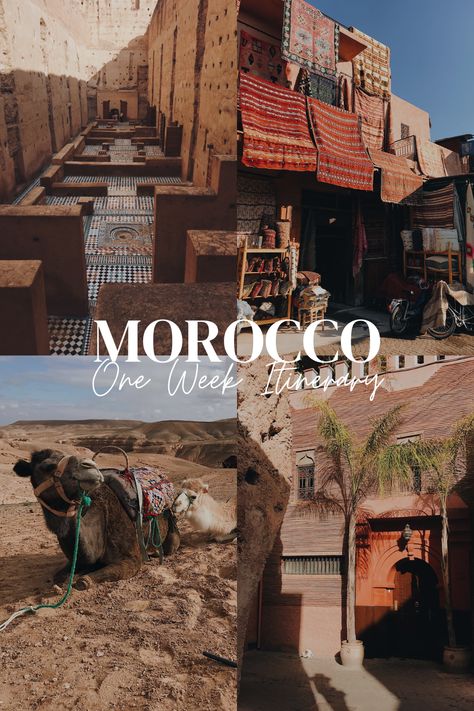 Planning to spend 1 week in Morocco? Starting in Marrakech, this itinerary is your ideal travel guide to the gorgeous country. | Morocco one week itinerary | One week Morocco | 7day morocco itinerary | morocco travel itinerary | morocco travel tips | morocco travel marrakech Morocco Itinerary 10 Days, Ysl Morocco Marrakech, 3 Days In Morocco, Trip To Morocco, Morroco Travel Itinerary, Morocco Itinerary 1 Week, Things To Do In Morocco, What To Do In Marrakech, Morroco Itinerary