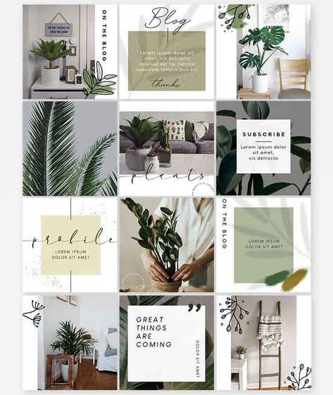 Plant Social Media Post, Plant Instagram Feed, Florist Instagram Feed, Plant Instagram, Branding Mood Board Inspiration, Free Social Media Templates, Garden Hacks Diy, Instagram Feed Layout, Plant Benefits