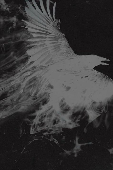 Crow Wallpaper Iphone, Markiplier Wallpaper, Iphone 6 Wallpaper, Most Beautiful Wallpaper, Live Wallpaper Iphone, Wallpaper Iphone Disney, Wallpapers Iphone, Inspirational Wallpapers, White Bird