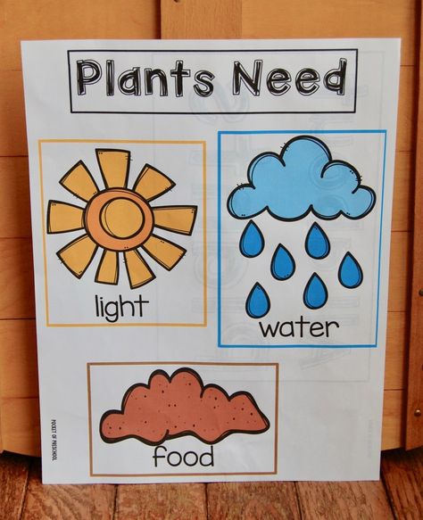 Spring Has Sprung: Learning All About Plants - Preschooligans.com % Botany For Preschoolers, Spring And Gardening Preschool, Plants Toddler Activities, Planting Lesson Plans For Preschool, Toddler Planting Activities, Spring Ideas For Kindergarten, Spring Theme Kindergarten, Garden Theme Toddler Activities, Preschool Planting Seeds