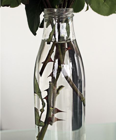 How to root rose cuttings in water: An expert guide | Gardening Indoors, Rose Cuttings, Interior Design Advice, Planting Roses, Water Plants, In Water, Shopping Hacks, Water, Flowers