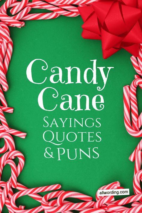 Candy cane sayings, quotes, and puns for Christmas. Candy Cane Sayings, List Of Candy, Candy Puns, Candy Cane Poem, Cute Christmas Quotes, Candy Cane Cards, Candy Cane Gifts, Funny Candy, Candy Cane Crafts