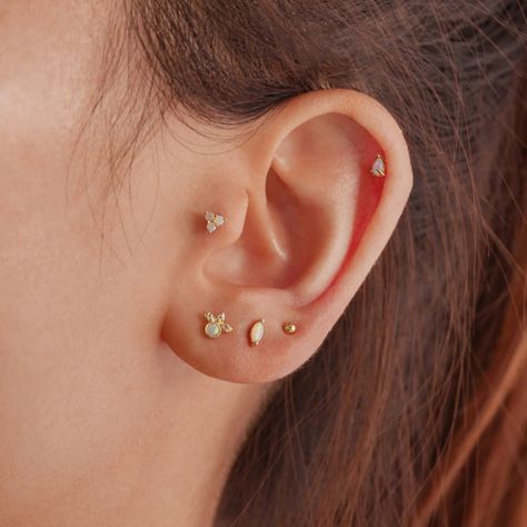 Flatback Earrings – J&CO Jewellery Gold Piercings, Piercing Jewelry Ideas, Piercing Collection, Back Piercings, Jo Loves, Cartilage Piercings, Labret Piercing, Best Gifts For Women, Flat Back Earrings