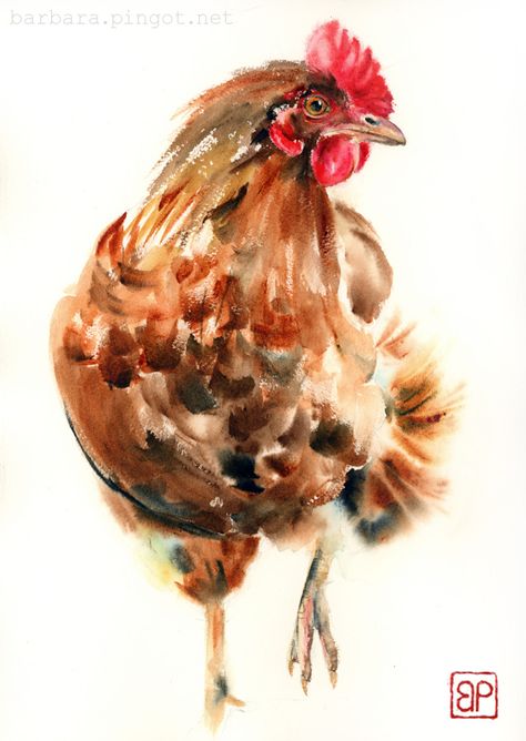 Daler Rowney, A Chicken, Hen, Watercolor Painting, Rooster, Deviantart, Chicken, White, Art