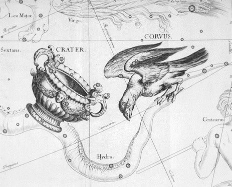 Corvus Constellation, Ancient Astronomy, Story Elements, Star Chart, Star Map, To Infinity And Beyond, Astronomer, Popular Culture, Greek Mythology