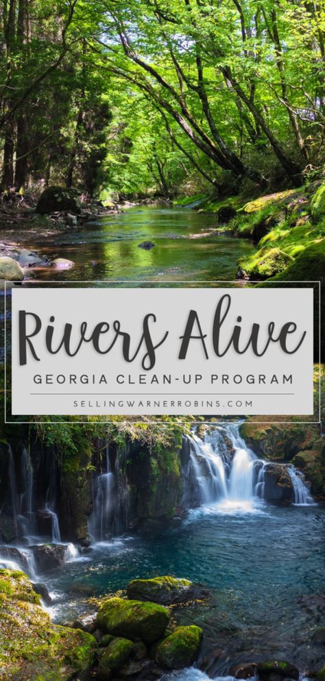 Georgia's Rivers Alive Clean-Up Program has been dedicated for twenty years at cleaning up the state's waterways. The community of Warner Robins GA can participate locally on Saturday, November 3rd at Wellston Trail by removing litter and debris from Bay Gall Creek. #warnerrobinsga #robinsafb #middlega #georgia #ecofriendly Warner Robins Georgia, Red Dirt, Coldwell Banker, Robins, The Community, The Locals, The River, Clean Up, Travel Inspiration