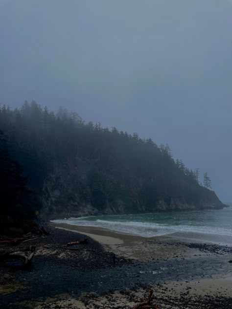 Camdencore Aesthetic, Pacific Northwest Gothic Aesthetic, Oregon Coast Aesthetic, Oregon Forest, Oregon Life, Dark Forest Aesthetic, Foggy Day, Life Is Strange, Oregon Coast