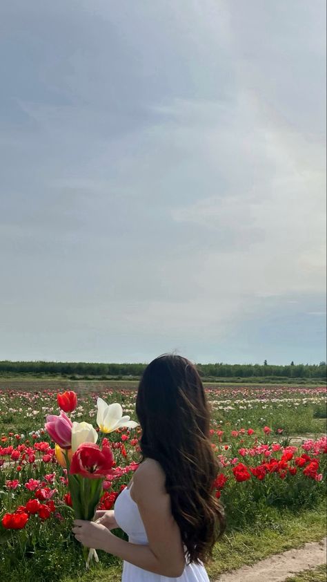 Flower Farm Pose Ideas, Tulip Picking Aesthetic, Tulip Garden Poses, Tulip Field Photo Ideas, Poses For Tulip Garden, Tulip Farm Poses, Tulip Instagram Picture, Flower Farm Poses, Poses In A Flower Field