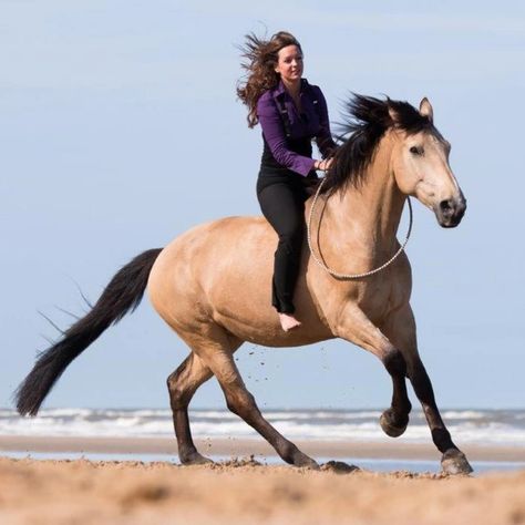 New Blog! 📝 Natural Horsemanship : What is it all about? 🤔 We are delighted to be stocking a new brand which holds Natural horsemanship at its core. Freedom Riding Articles produce top quality bareback pads, bitless bridles and many other accessories to help you on your natural horsemanship journey. Read more about them here 👇 https://loom.ly/rPhOmBc #randrcountry #naturalhorsemanship #freedomridingarticles #joinupmethod #horses #equine #horseriding #barebackpad #bitlessbridle Bareback Horse Riding, Bareback Riding, Riding School, Horse Riding Equestrian, Bitless Bridle, Natural Horsemanship, Bridles, Pretty Horses, Horse Riding