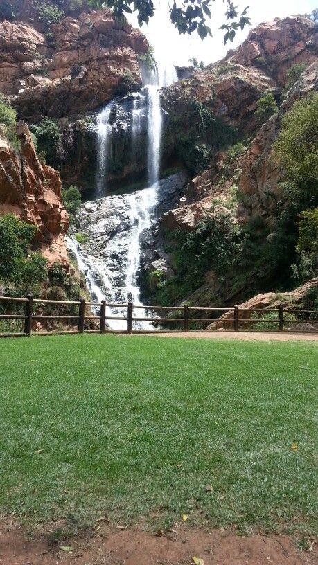 Walter Sisulu Botanical Gardens - South Africa Beautiful Views, Botanical Gardens, South Africa, Plants, Water, Quick Saves