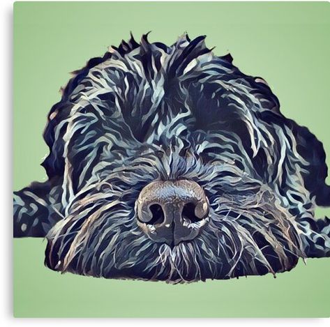 Tribute to a dog named Hope • Millions of unique designs by independent artists. Find your thing. Labradoodle Art, Black Cockapoo, Dog Pop, Dog Pop Art, Green Art Print, Green Sticker, Arte Animal, Dog Drawing, Dog Paintings