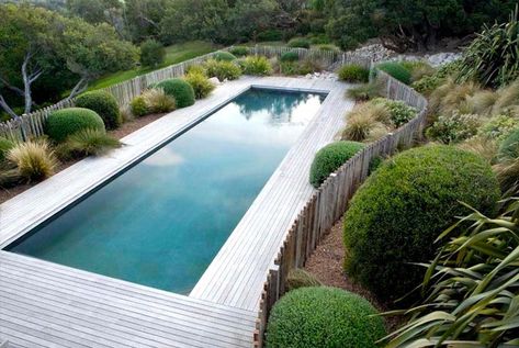 Shipping Container Pool: The Ultimate Buying Guide - Excelite Pool Shipping Container Swimming Pool, Shipping Container Pool, Inground Pool Landscaping, Container Pool, Coastal Gardens, Pool Fence, Dream Pools, Country Landscaping, Backyard Fences