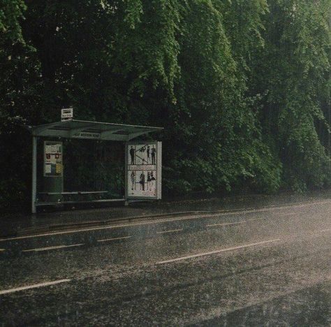 Rain Header, Notion Icons, Rainy Street, Dark Naturalism, Rain Aesthetic, Rainy Day Aesthetic, I Love Rain, Day Aesthetic, Creepy Stuff