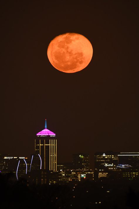 Moonrise over Sandton City #Kruger2Kalahari #cityscapes #sandton #moonrise #moonscape #nikon_photography #sigmaphoto_sa #citylife #SandtonCity Sandton City, V&a Waterfront, Practice Makes Perfect, South Africa Travel, Looking Out The Window, Table Mountain, Soccer World, Kruger National Park, Game Reserve