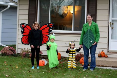 Lifecycle costumes Halloween Costumes Butterfly, Piglet Costume, Butterfly Halloween Costume, Caterpillar Costume, Butterfly Wings Costume, Butterfly Halloween, Butterfly Lady, Butterfly Costume, Vintage Halloween Costume