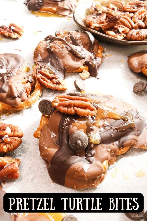 Pretzel Pecan Turtles, Pretzel Caramel Bites, Turtle Bites, Turtle Pretzels, Turtle Candies, Pretzel Turtles, Chocolate Pecans, Thanksgiving Chocolates, Caramel Bites