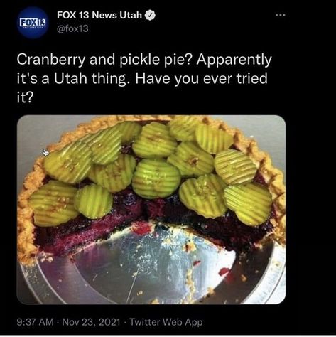 Pickle Pie Recipe, Weird Recipes, Pickle Pie, Cranberry Pie Recipes, Pie Game, Pie And Mash, Cranberry Pie, Pie Day, Thanksgiving Pies