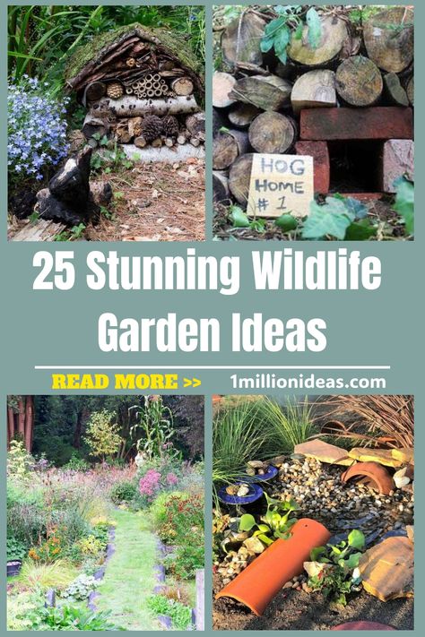 If you love seeing a natural-looking garden, or you’ve got a passion for wildlife and want to attract more to your garden,… Bird Sanctuary Ideas Backyards Gardens, Wildlife Garden Ideas, Wildlife Garden Design, Habitat Garden, Medicinal Herbs Garden, Wildlife Garden, Meadow Garden, Vertical Garden Diy, Big Garden