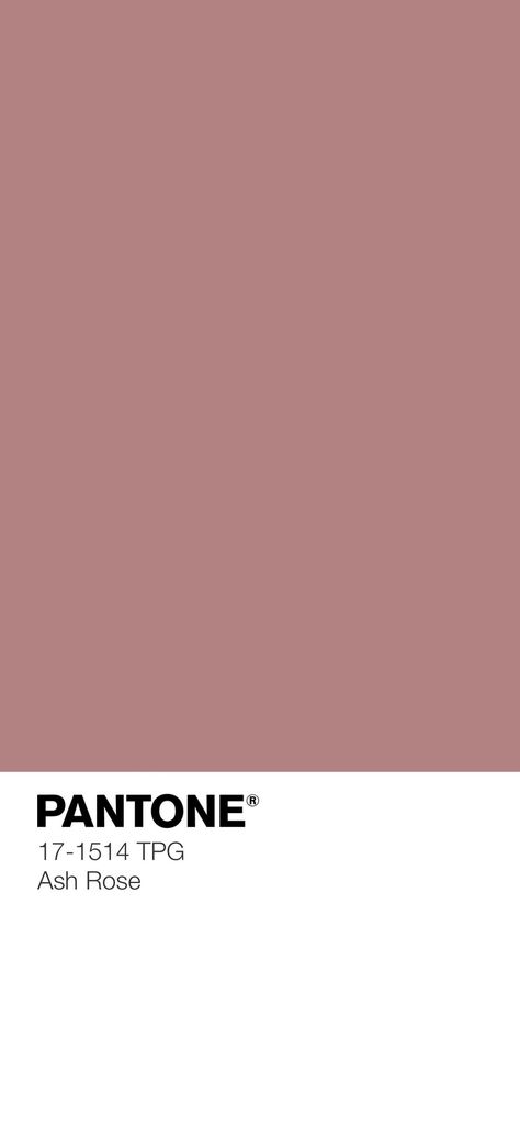 Color Palette Pantone, Rose Color Palette, Ashes Of Roses, Old Rose Color, Logos Color, Soft Summer Colors, Pantone Palette, Pantone Colour Palettes, Color Design Inspiration