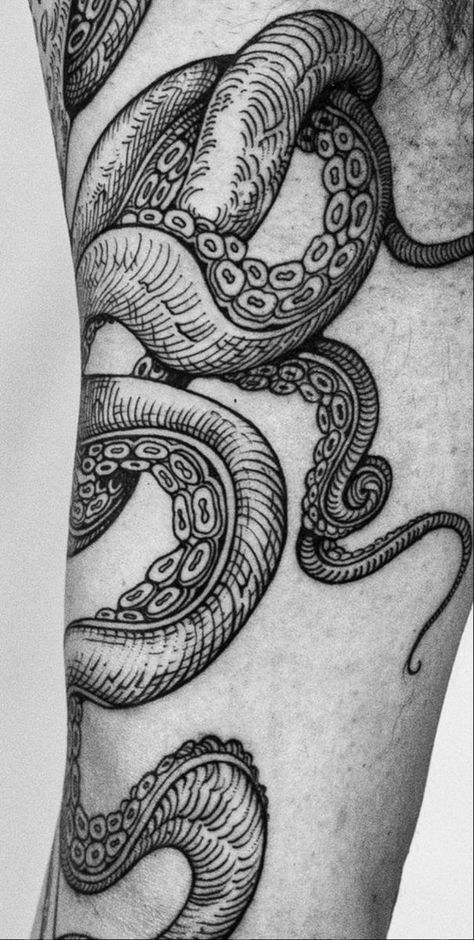 Tentacle Arm Tattoo, Big Octopus Tattoo, Octopus Tattoo Wrapped Around Arm, Vintage Octopus Tattoo, Tentacle Tattoo Leg, Octopus Tattoo Leg, Tentical Tattoo, Octopus Tattoo Arm, Octopus Back Tattoo