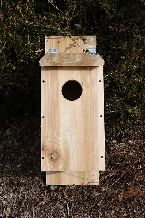 Attract these helpful nocturnal predators to your farm by making this easy, DIY screech owl nesting box. They'll help you control mice, voles, and other rodents in return. Owl House Plans, Free Birdhouse Plans, Owl Nest Box, Diy Cat Shelves, Martin Bird, Birdhouse Plans, Bird House Plans Free, Owl Box, Bird House Plans