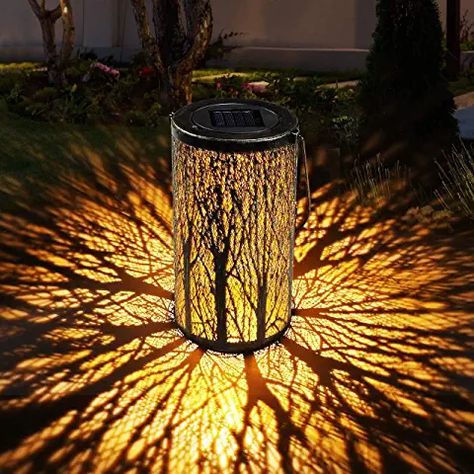 Best Outdoor Solar Lights, Clematis Armandii, Solar Garden Lanterns, Solar Lantern Lights, Magnolia Stellata, Solar Lanterns Outdoor, Solar Hanging Lanterns, Solar Powered Lanterns, Led Landscape Lighting