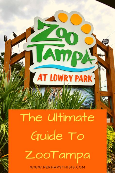 The Ultimate Guide to ZooTampa At Lowry Park - Tampa, Florida  #thingstodoin #tampa #florida #kids #familytravel #vacation #attractions #hiddenjems Macdill Afb Tampa Florida, Lowry Park Zoo Tampa, Zoo Tampa, Tampa Florida Things To Do In December, Tampa Florida Things To Do In Kids, Florida Family Vacation, Florida Parks, Tampa Florida, Visit Florida