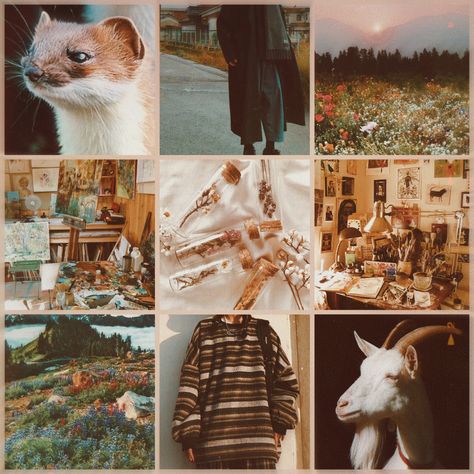 Therian Moodboard, Dragon Moodboard, Moodboard Adopts, Fursona Ideas, Moodboard Inspo, Adopt Idea, Make Your Own Character, Picture Boards, Moodboard Aesthetic