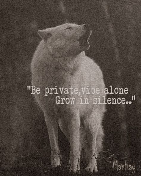 Devilish Quote, Ancient Quotes, Alpha Quote, Lone Wolf Quotes, Men Pants Pattern, Gangster Quotes, Silence Quotes, Language Quotes, Wolf Quotes