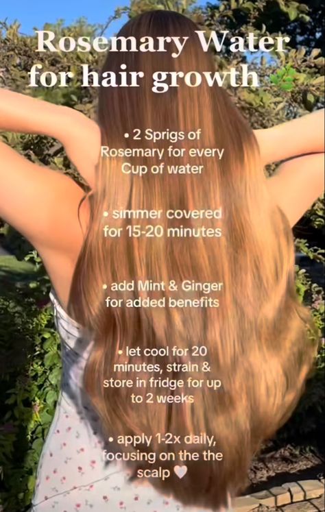 Rosmery Oil Diy, Rosemary Water For Hair Growth, Rosemary Water For Hair, Dreamy Hair, Mom Time, Rosemary Water, Herbs For Hair, Natural Hair Growth Tips, Wellness Shots