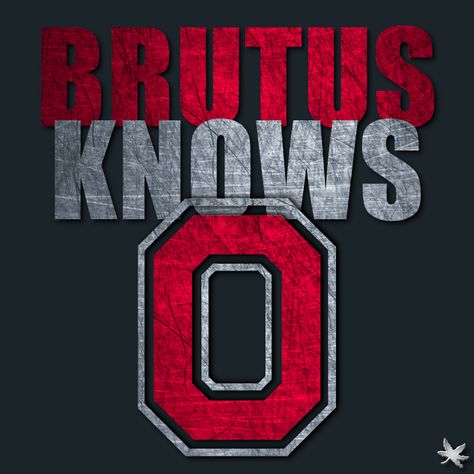 Ohio State Buckeyes Football Logo, Ohio State Vs Michigan, Buckeye Football, Ohio State Buckeyes Football, Buckeyes Football, State Signs, Diy Deco, The Ohio State University, Ohio State Football