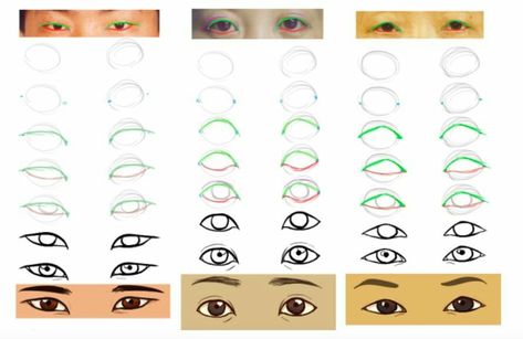 Asian Eyes Drawing Reference, Draw Asian Eyes, Asian Eyes Drawing, Eyes Drawing Reference, Eye References, Draw Heads, Expressions Reference, Drawing Advice, Eyes Reference