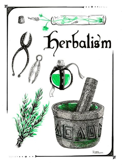 contains a variety of instruments such as clippers, mortar and pestle, and pouches and vials used by herbalists to create remedies and potions Mortar And Pestle, Dnd Characters, Mood Board, To Create